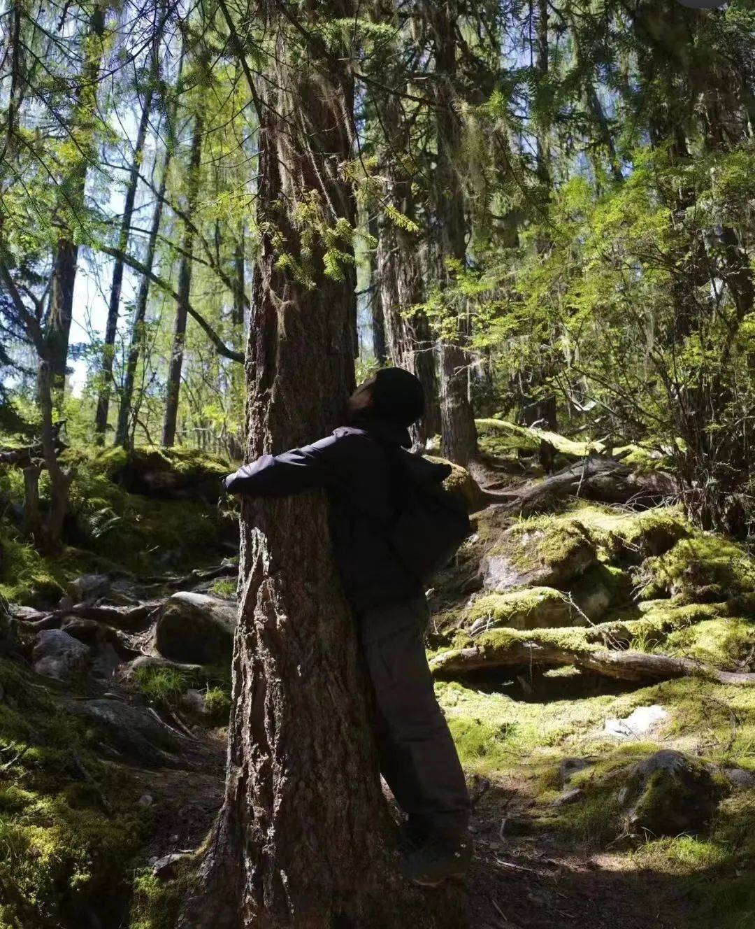 图片来源:小红书05抱树疗法小贴士1,尽量选择清晨或傍晚,阳光柔和的