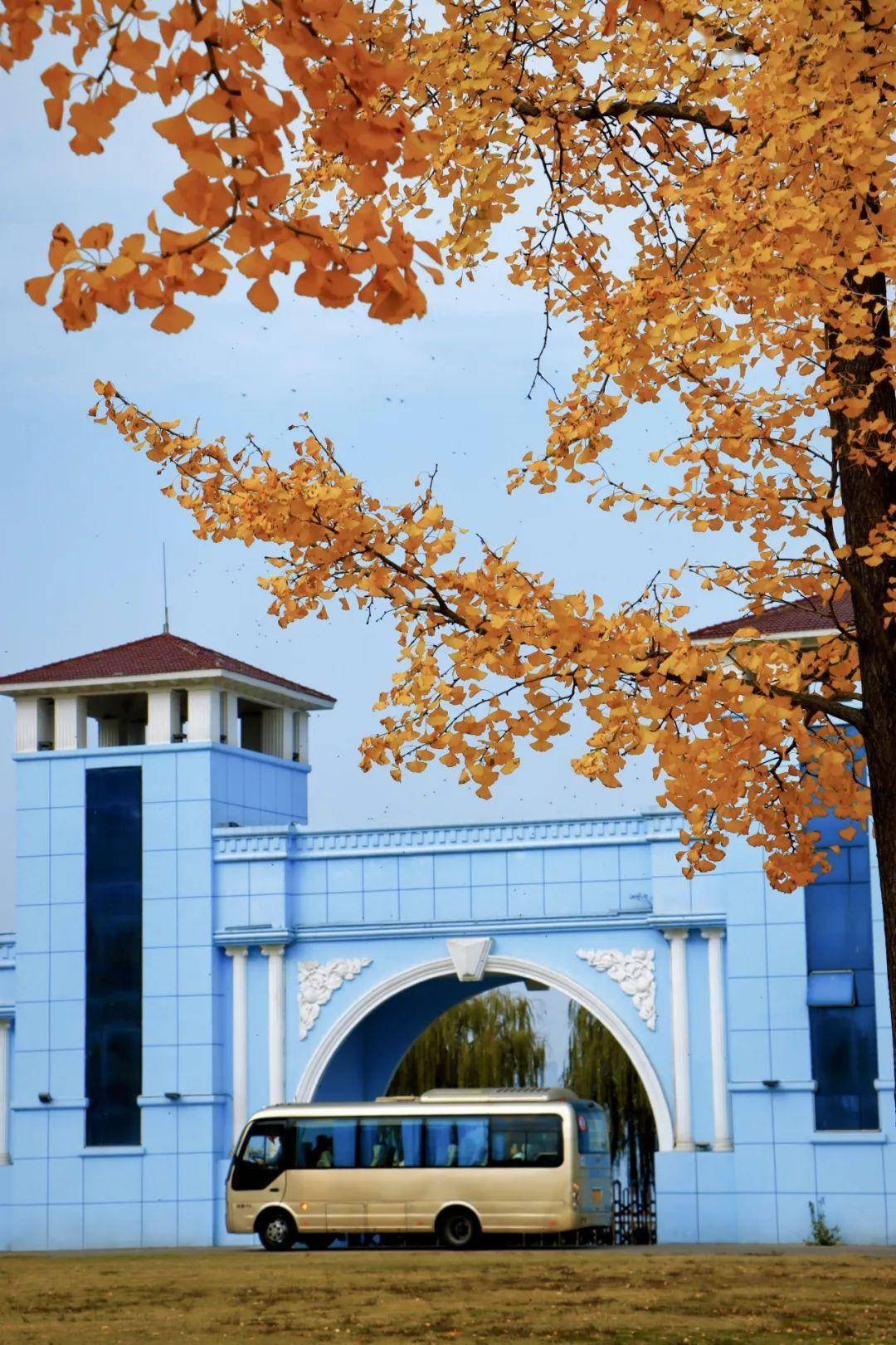 组图共赏_武昌理工学院_校园_罗文庄