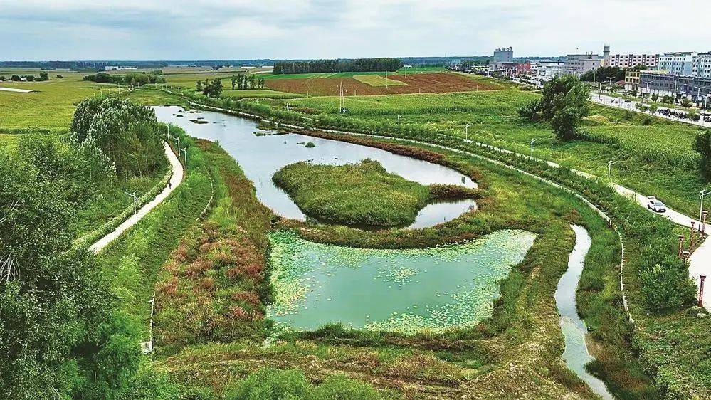 公主岭市怀德镇:环境美 生态优 产业兴_河道_发展_香葱