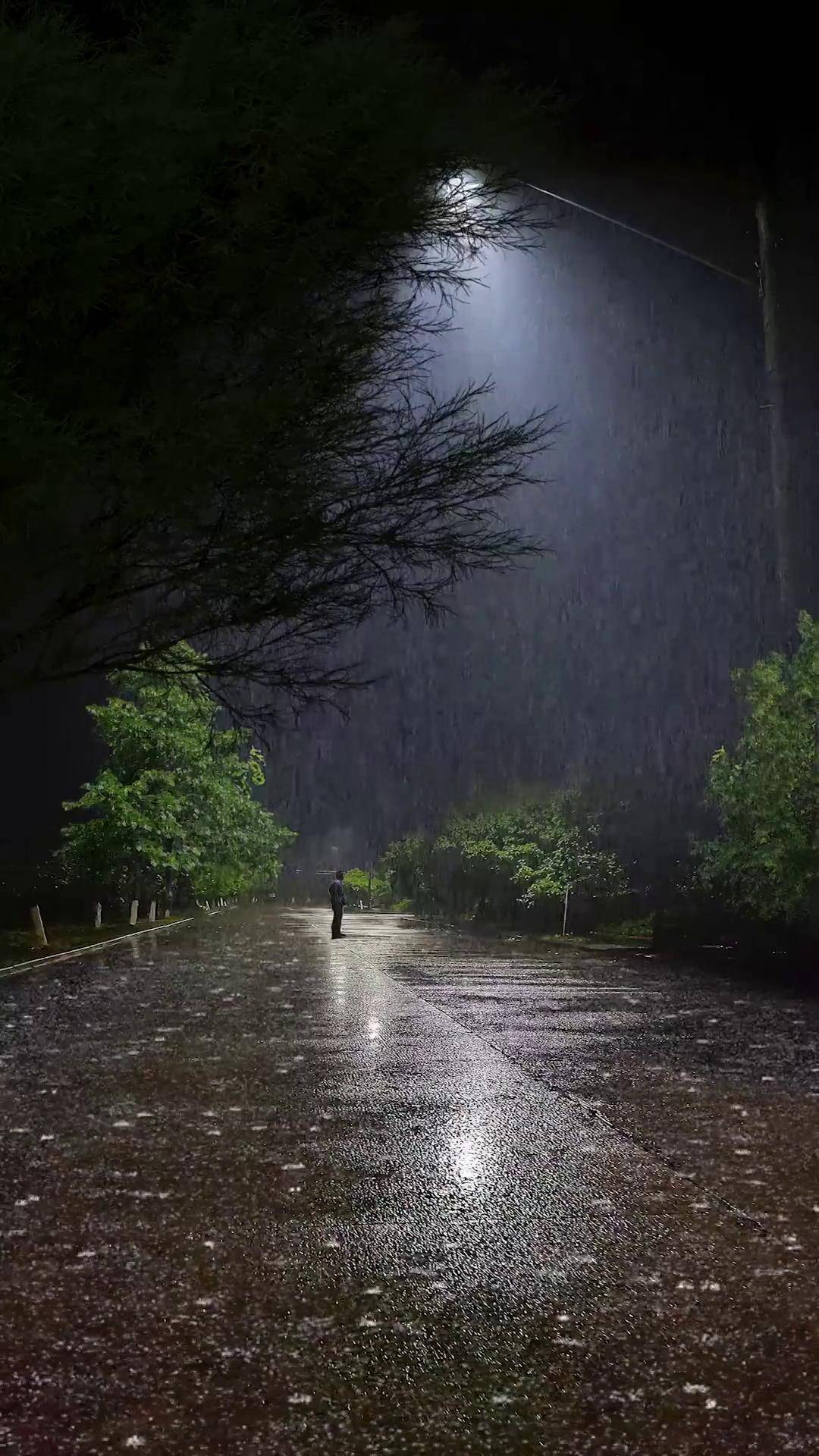 世间大雨滂沱,你要藏好软弱,万物苟且而活,无人为你背负更多,莫嫌前路
