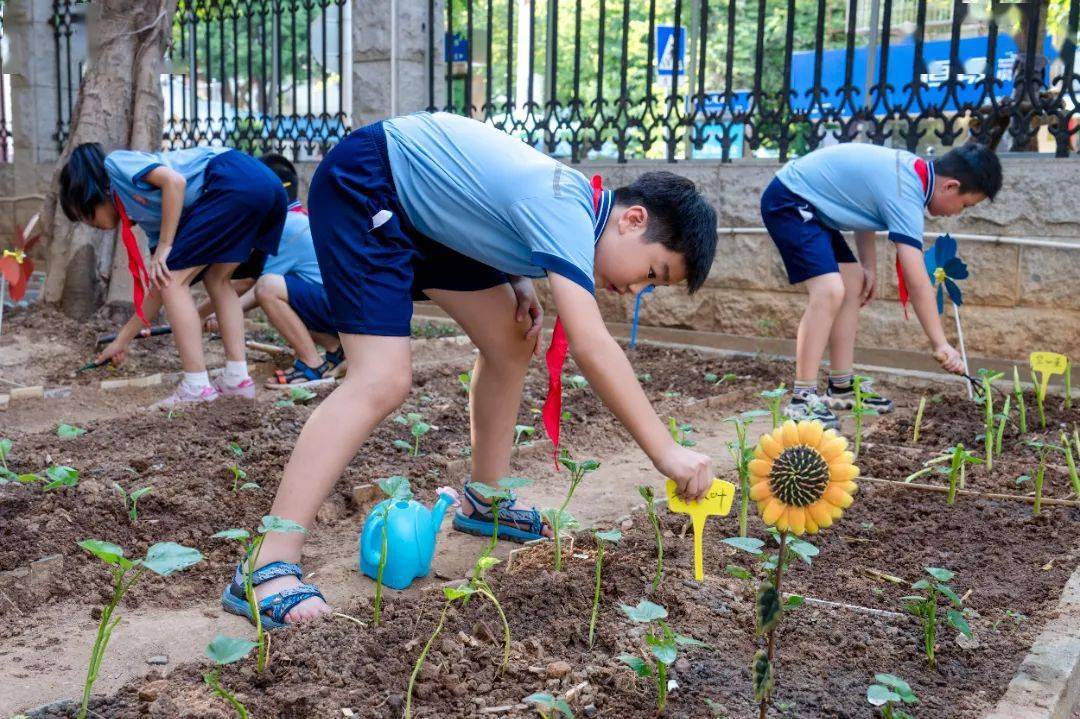 槟榔小学校长图片