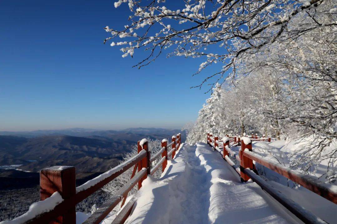 箐山森林公园图片