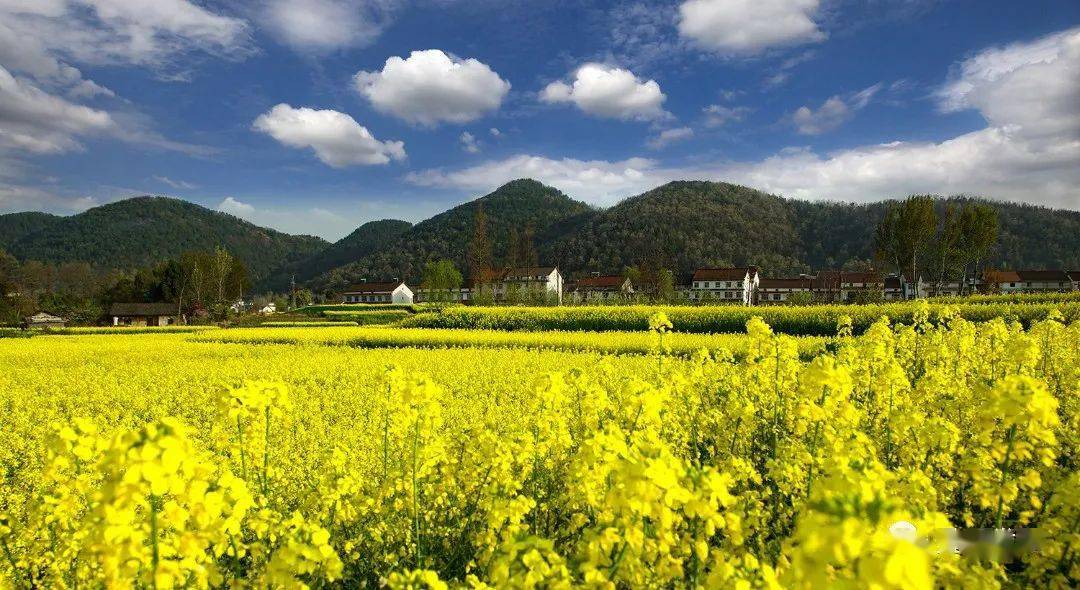 汉中这些地方上榜!速来围观 →_勉县_景区_文化