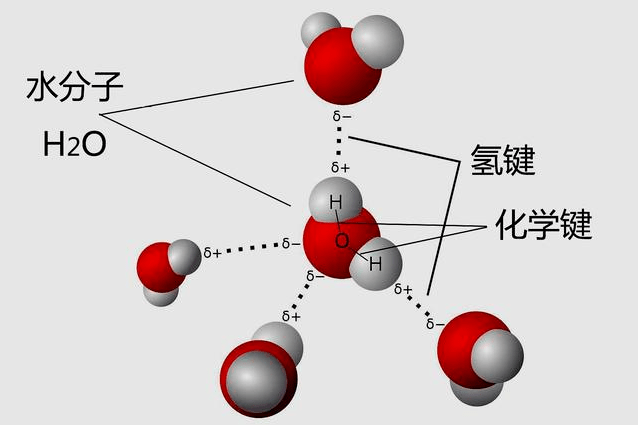 你见过威海海水结冰吗?_结构_海洋_淡水