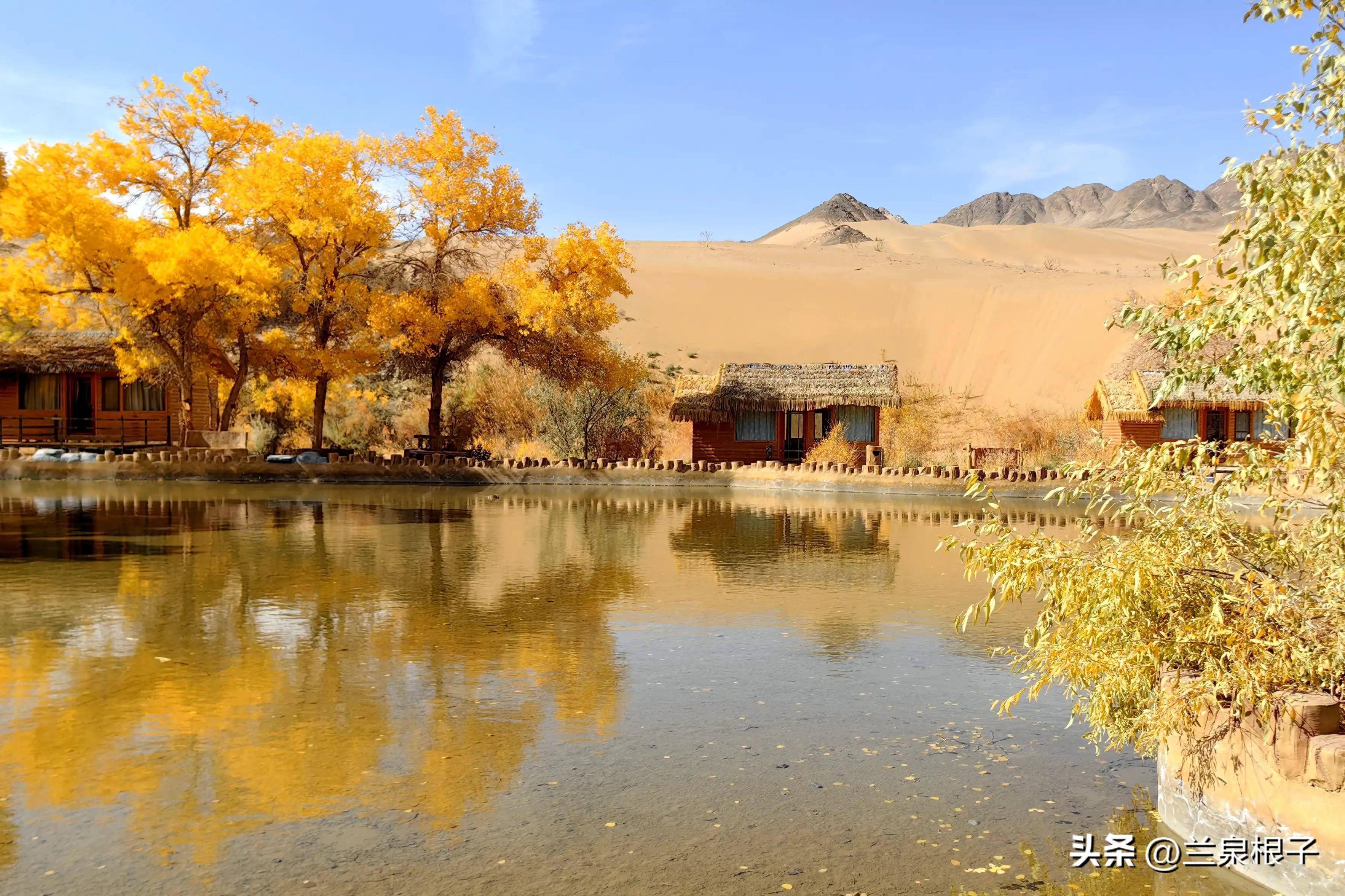 秋天的酒泉阿克塞多坝沟胡杨峡景区原生态风景美如画卷