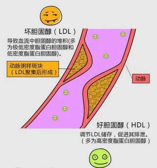 有ascvd病史者2.