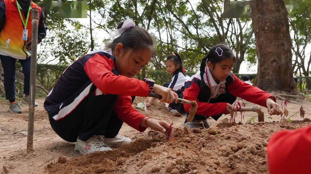 永記生態園上午九點半孩子們樂此不疲