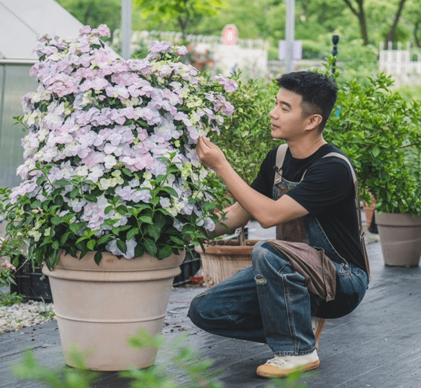 大爷,也是希望自己养花的爱好能一直保持到老"作为80后的王鼎告诉