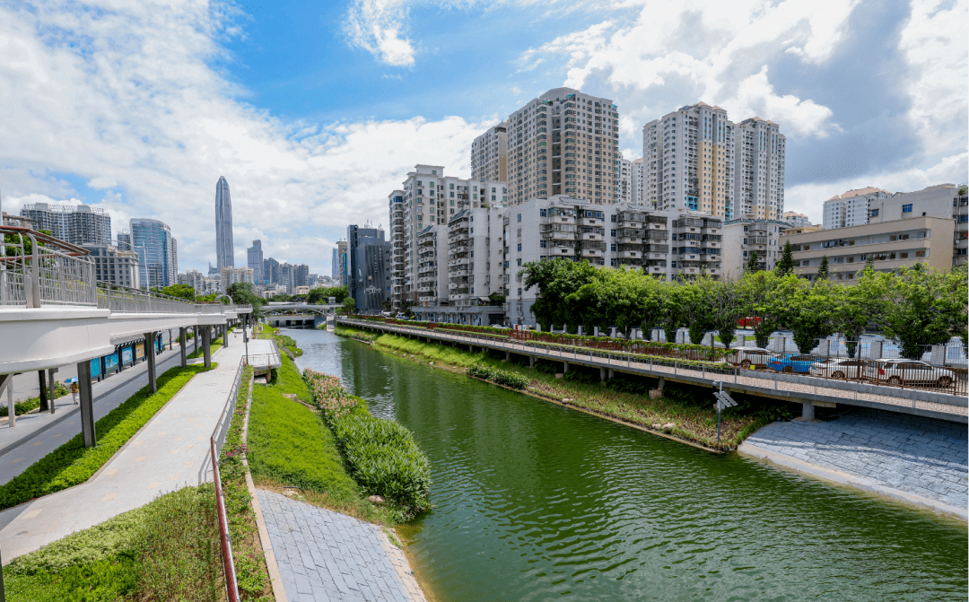 沿新洲河北环大道至河口是福田区首条都市型碧道新洲红树碧道全长约7
