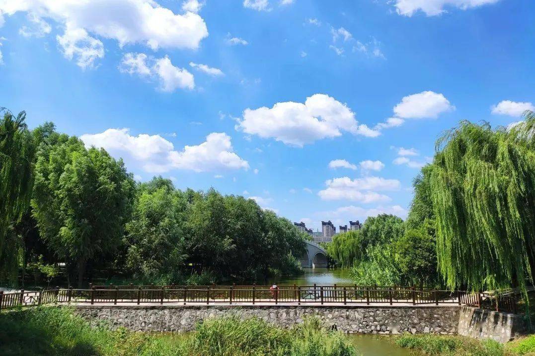 峰峰,就这么好看!_绿化_生态_治理