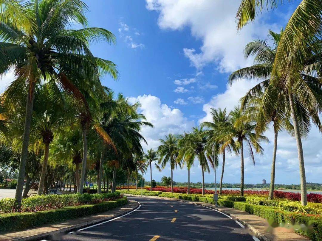 攀枝花红格小镇_康养_旅游_产业