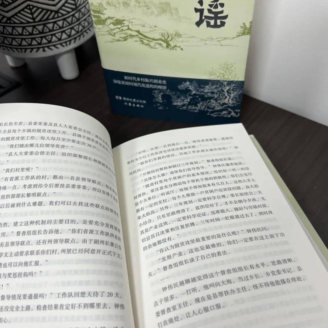 新書書評|《南山謠》:一部浩氣迴腸的鄉村振興變奏曲_村民_產業_問題