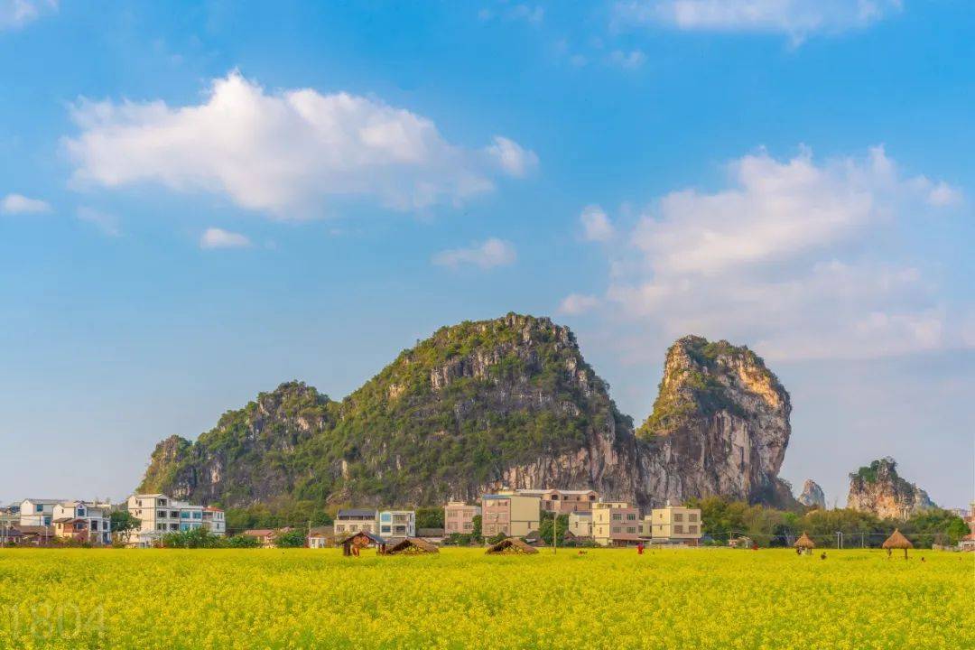 景区内拥有历史展示区,传统手工业传承体验区,美食区,动物园区,农耕