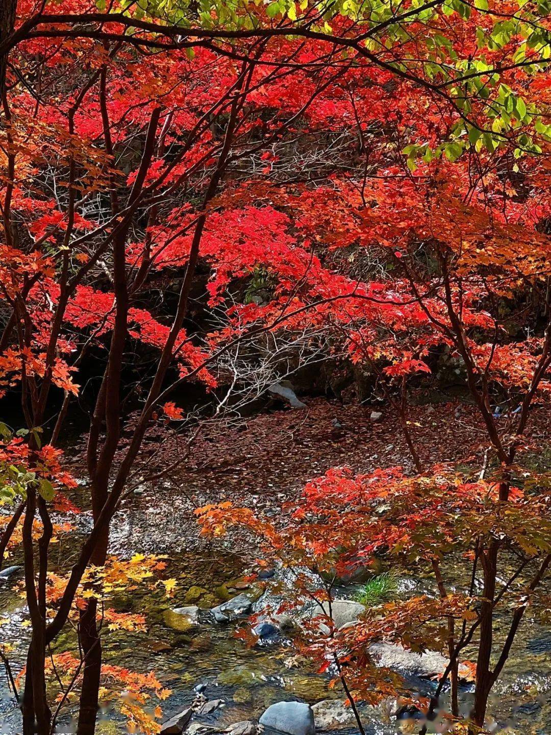 从高空俯瞰