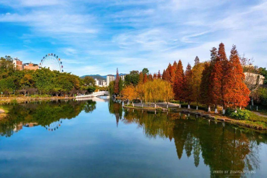 康养玉溪丨冬日暖阳下,邂逅易门龙泉河生态旅游景区的金色"盛宴"