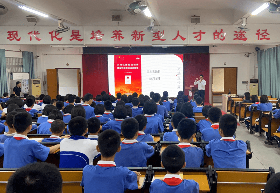 在全面推进乡村振兴战略中村委会如何发挥力量;在梅州市大埔县茶阳