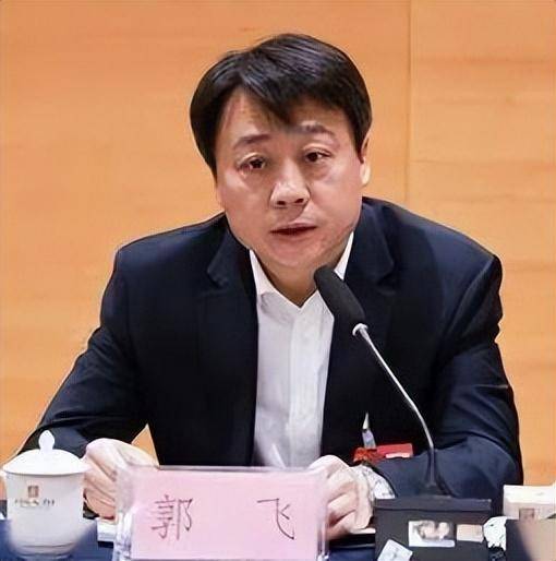 部干部一处处长,一级调研员等职,2019年5月,任茌平县委书记(副厅级)