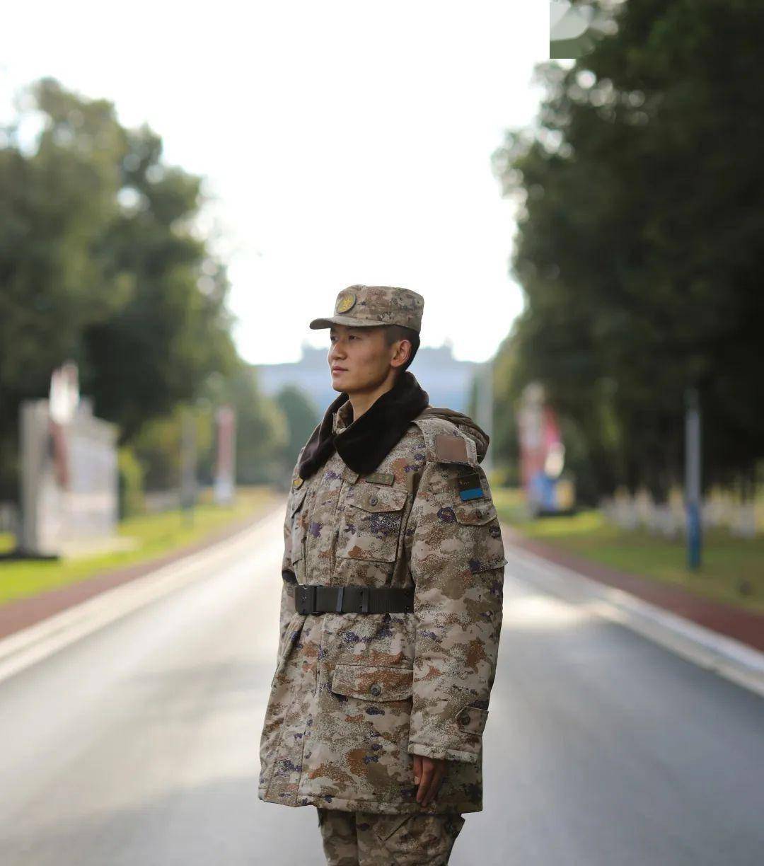 陆军_来源_网络