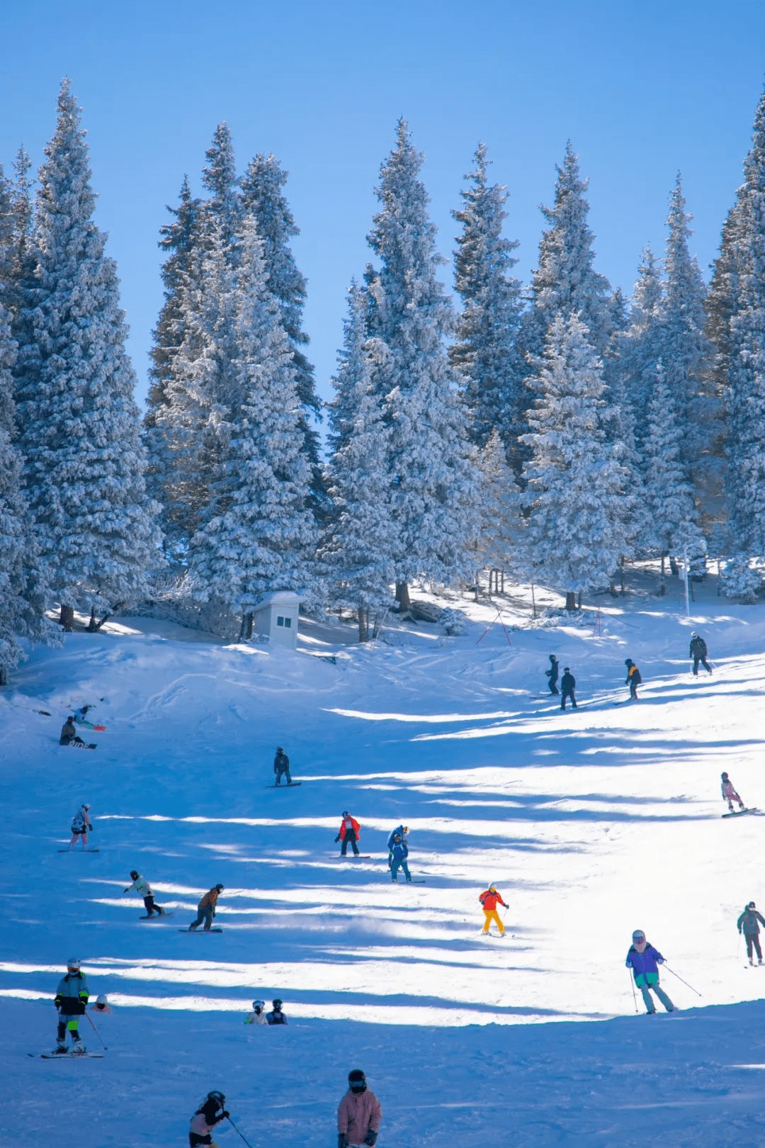 范尔滑雪场图片