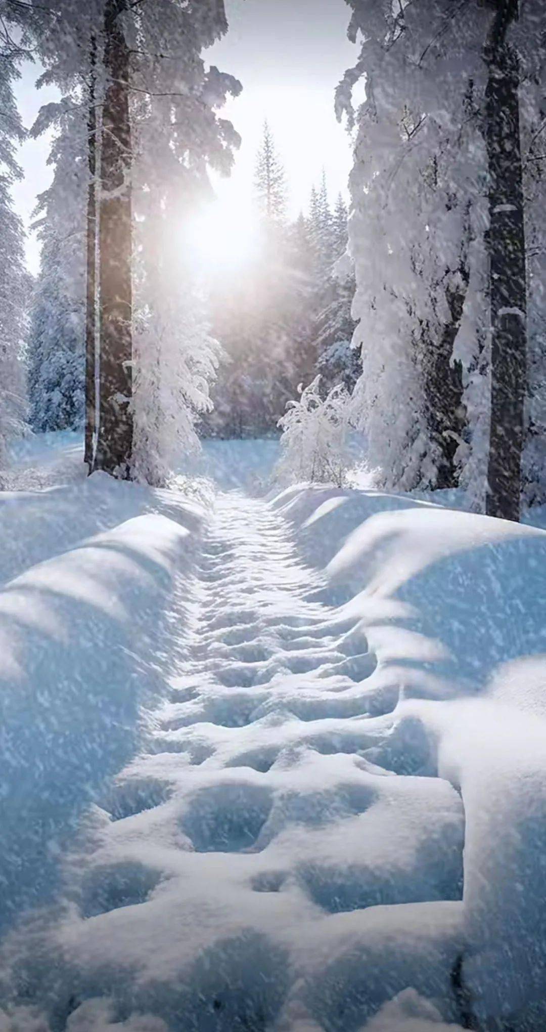 咏雪（9）