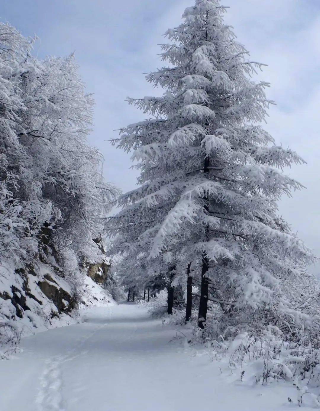 真实雪景图片大全下雪图片