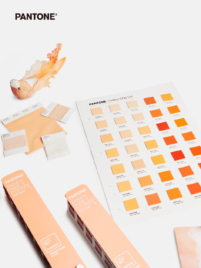 流行色 | pantone发布2024年度代表色:peach fuzz(柔和桃)_是一种