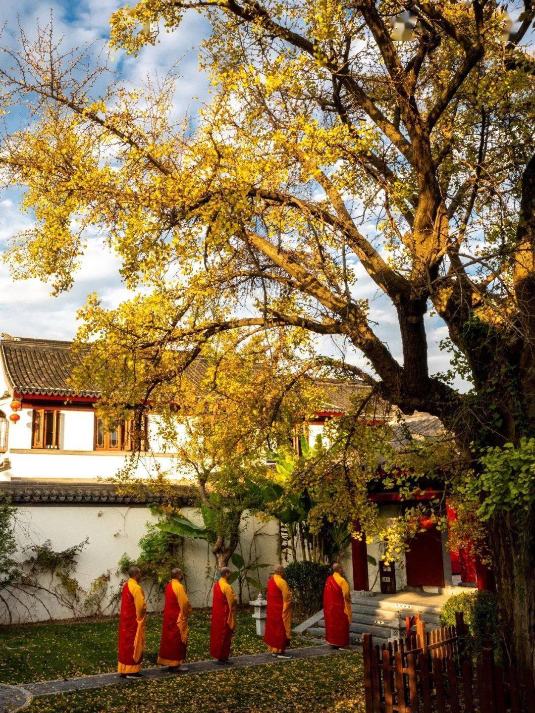 故事|阿罗汉身具胜香的因缘_阿育王_女子_皇宫