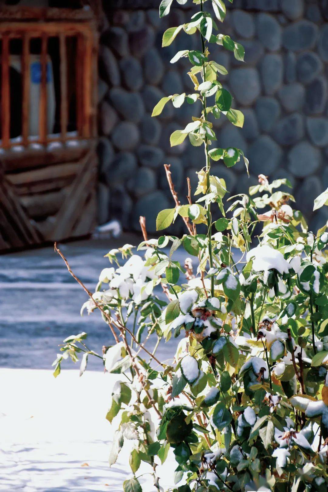 寒冬岁月长,不妨梦回古河西——丹霞口文旅小镇_传统_生活_家庭手工