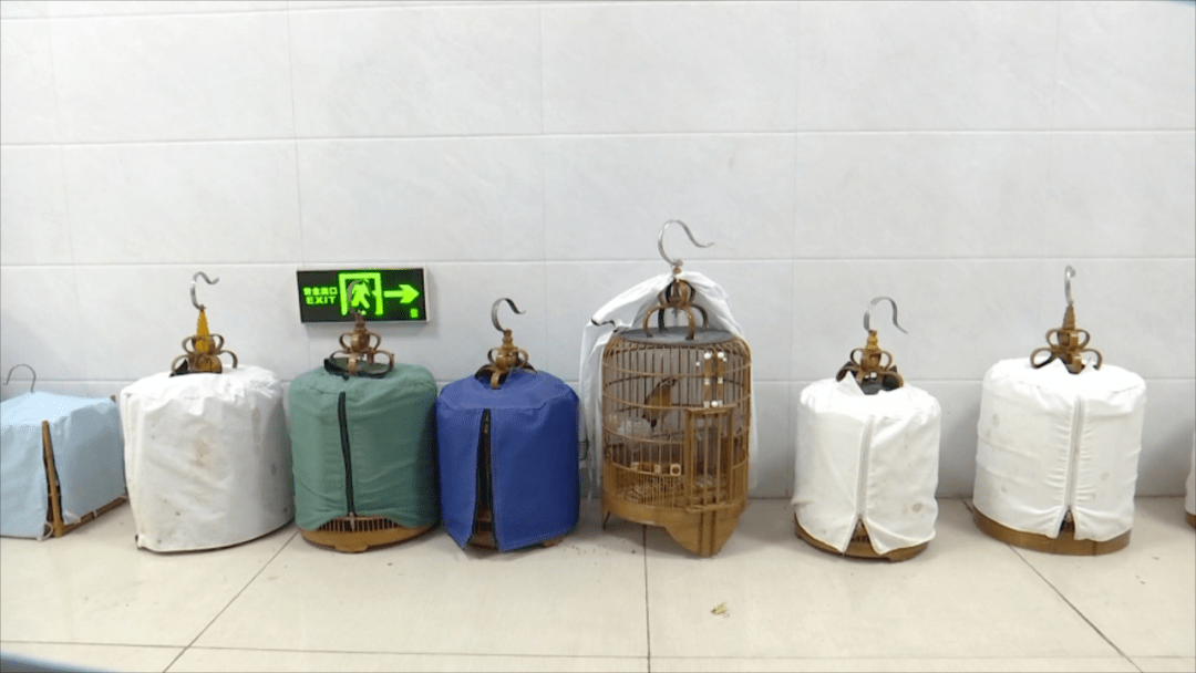 3人空地"遛鸟" 却被抓了,咋回事?_李某_张某香_国家