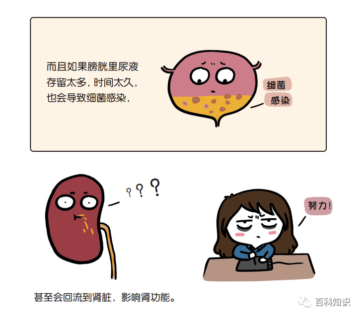 花小烙漫画 || 尿憋久了膀胱会爆炸吗?_科普_专业_文章