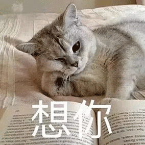 小手一撑 与世无争丨第866期喵表情包_侵权_网络_图片