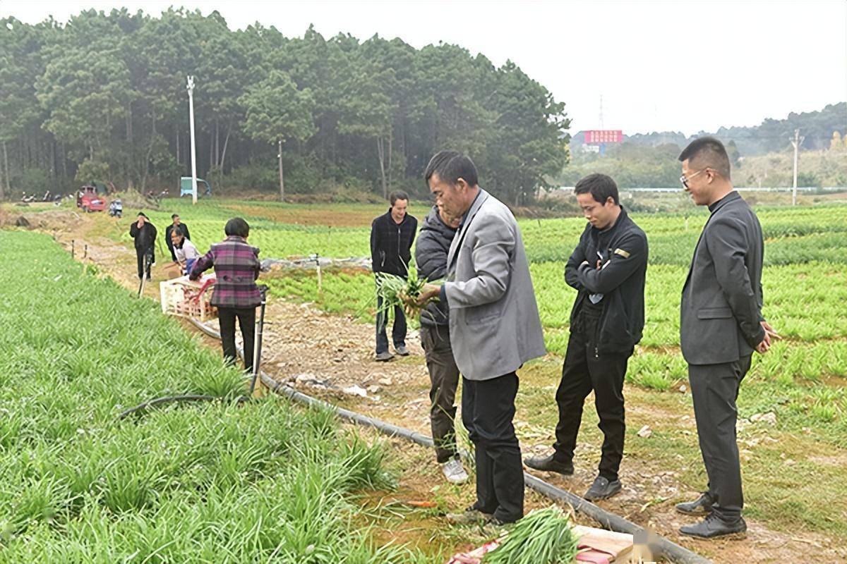 德卧镇毛杉树村村民陈仕英说:"我们这把年纪,一天挣100多元也可以了