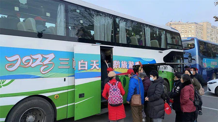 快讯|又一趟旅游专列,来三门峡啦!_白天鹅_市场_文化