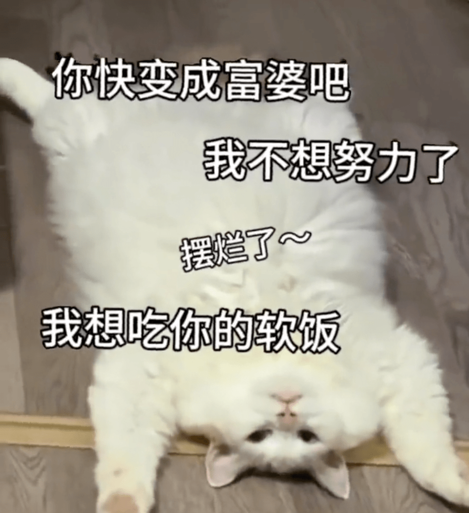 聊天实用表情包:对你好瑟点怎么了_公众_熊猫头_世界