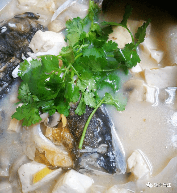 打卡景德镇菜:鱼头煮豆冲_昌江_洪东亮_汤汁