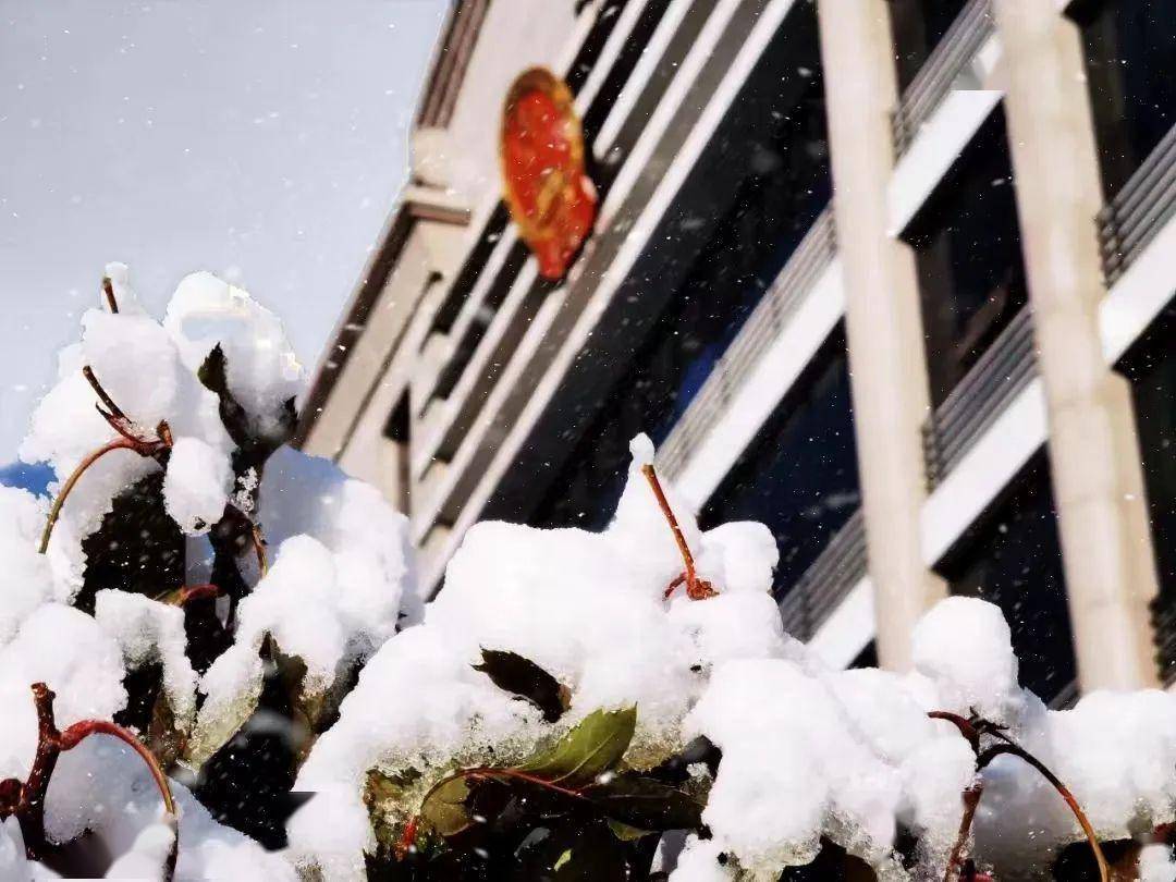 春雪滿空來 觸處似花開帶著些詩意盎然紛紛揚揚的雪花飄落在院子裡