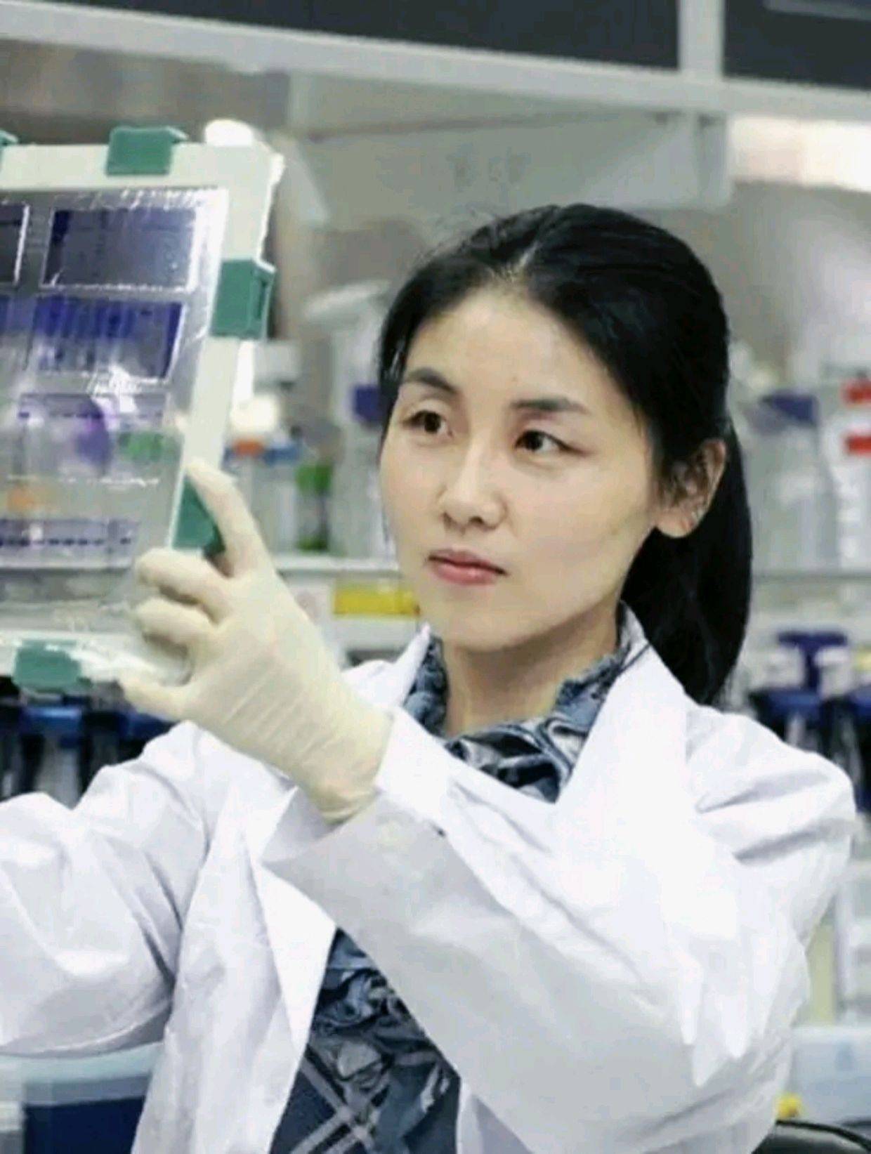 颜宁:科学与生活的双面才女,饺子与实验的艺术家