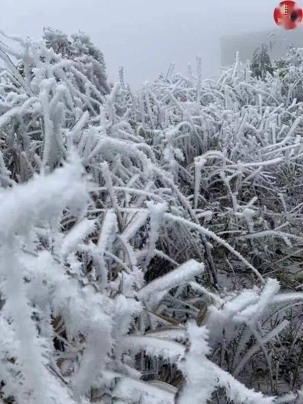 全州天湖下雪图片图片