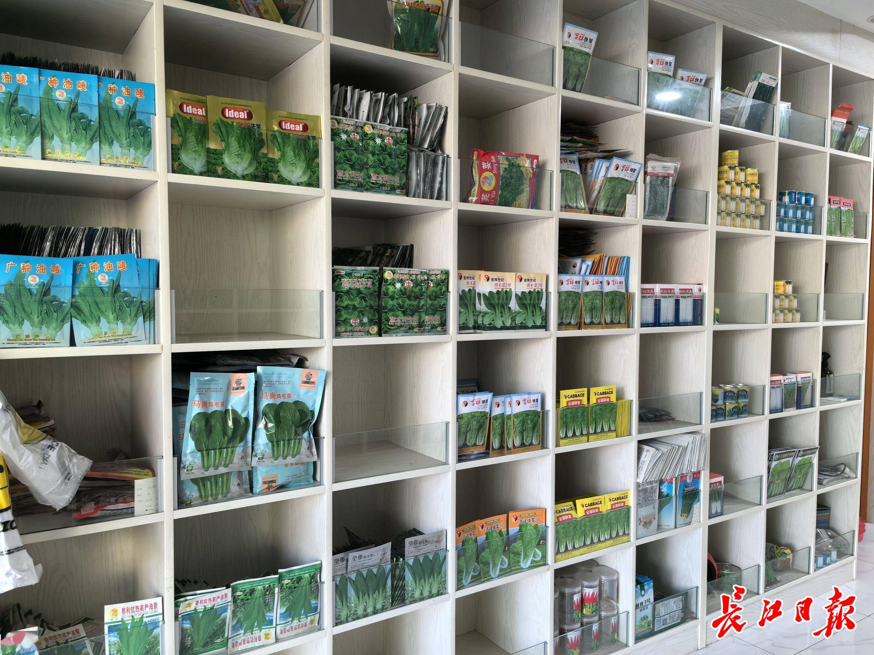 到卖自家种子,这个市场半数企业走上自主研发路_廖四详_新品种_销售