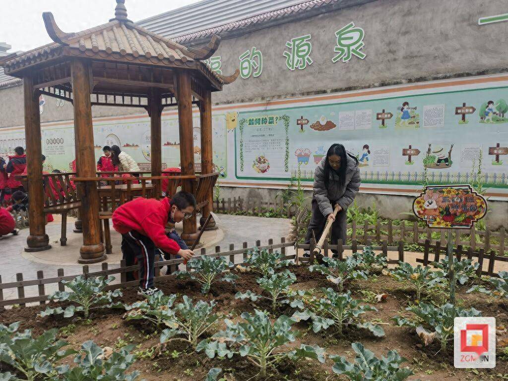 自贡市沿滩区逸夫小学图片