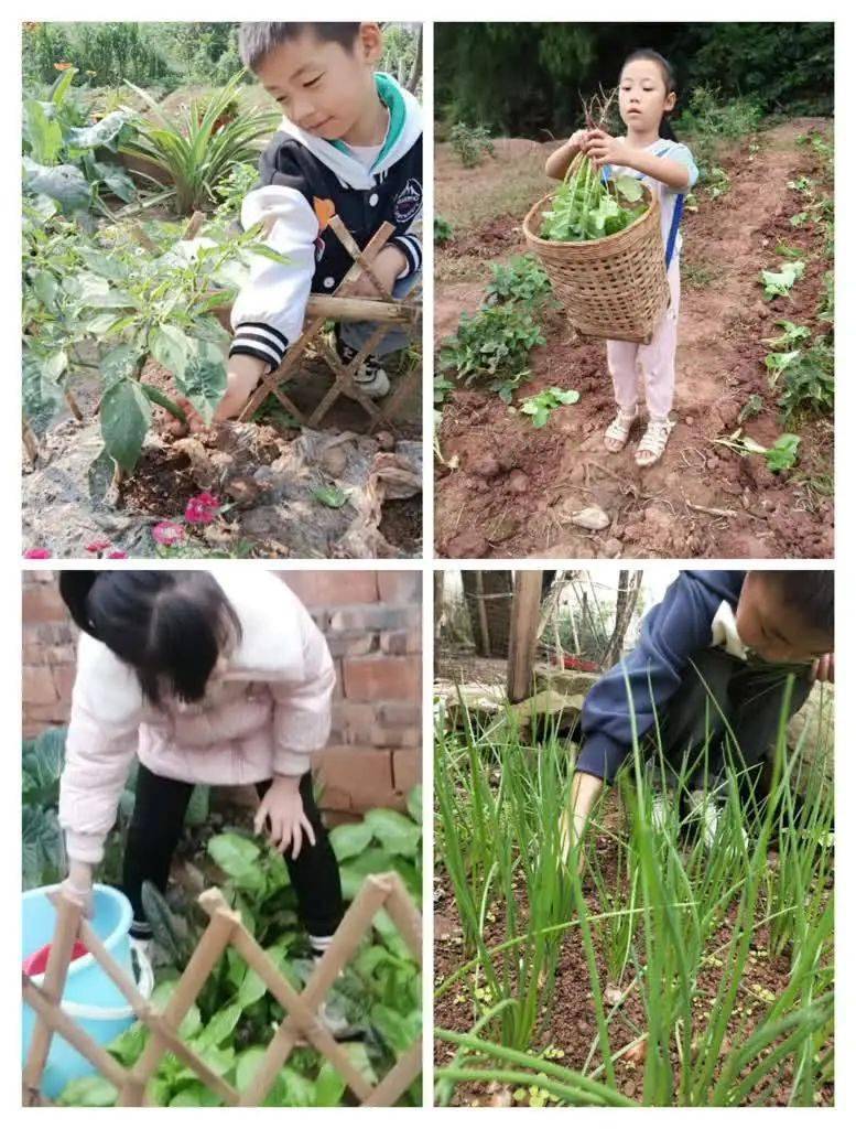 我們來看看勞動者美麗的模樣吧!童孫未解供耕織,也傍桑陰學種瓜.