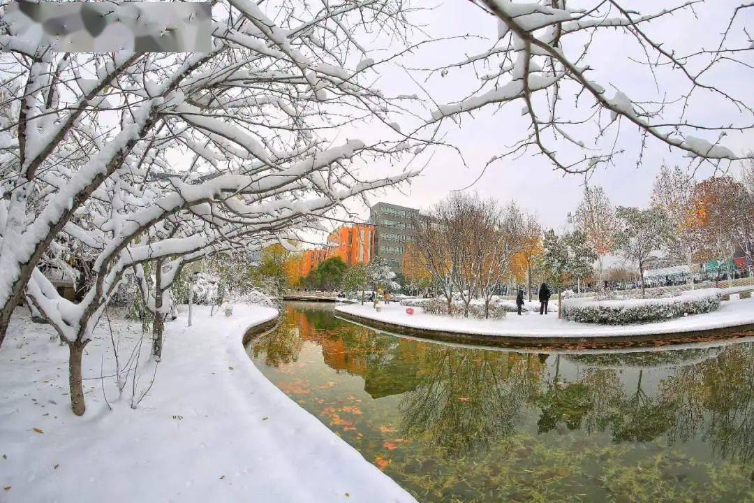 济源师范学院图片