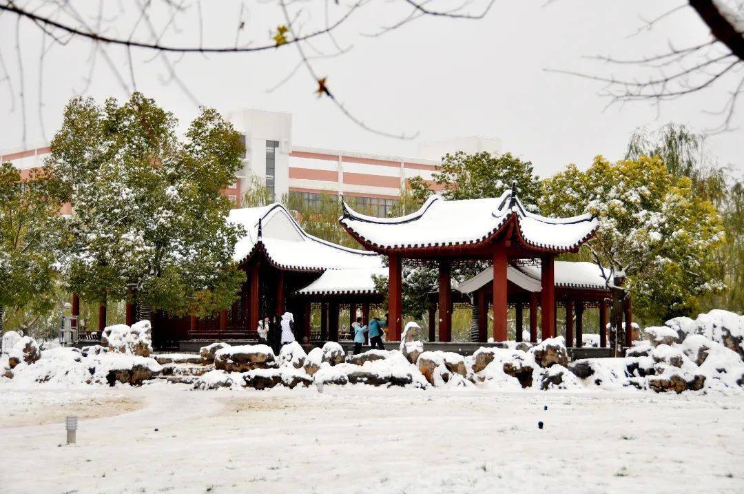 河南高校开启雪景刷屏模式