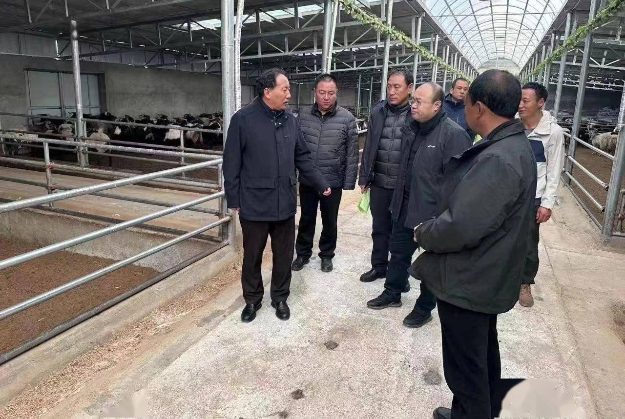 夏河县草原畜牧业转型升级迎来省级评估_建设_养殖_牦牛