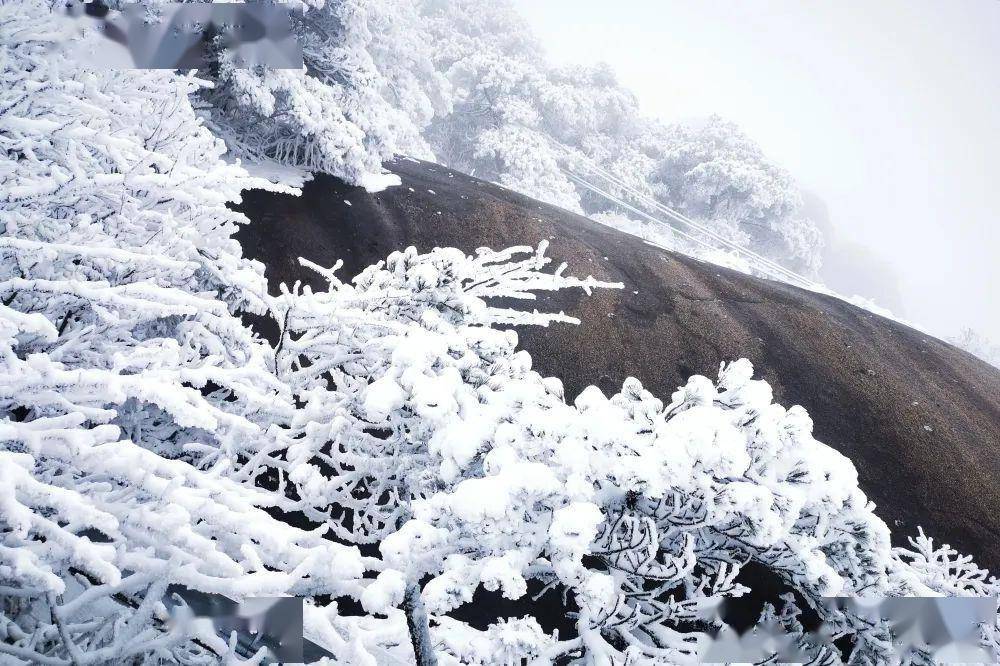 马上下雪!玩雪的梦想就要在灵山实现啦!_许可_版权_雪景