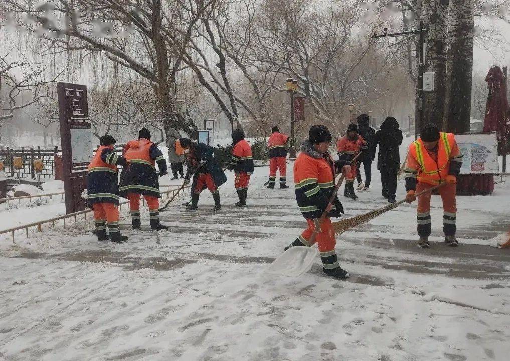 融雪撒水車74臺,掃車113臺,撒佈器13臺,滾刷16個,手推掃雪機3個,拋雪