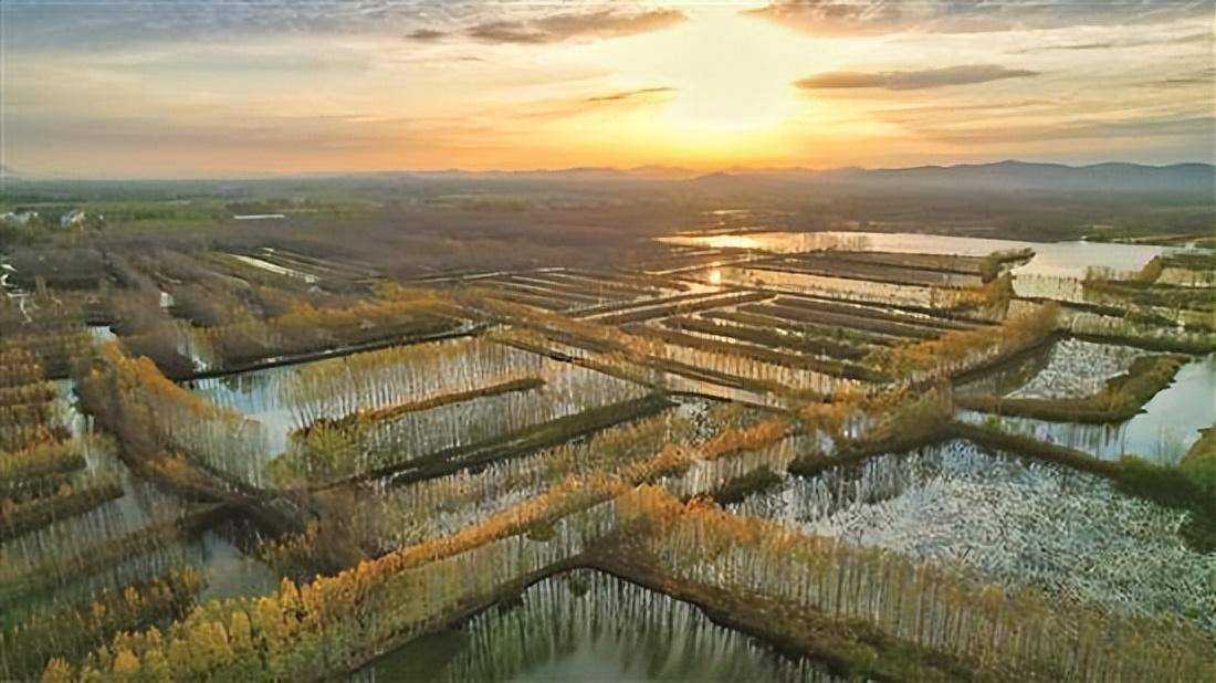在南阳湖农场,层林尽染的树叶在温和的阳光下焕发出斑斓多彩的色彩.