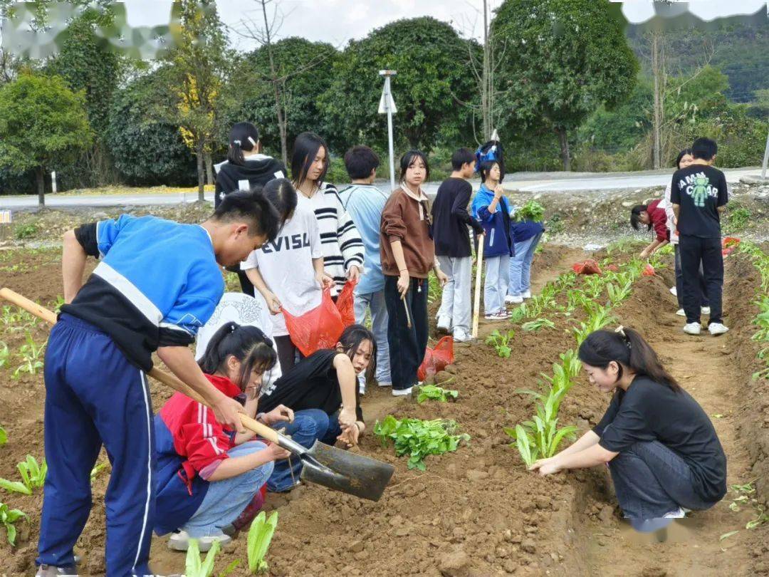 義江畔的五通初中,門前農田遼闊,水渠清澈.