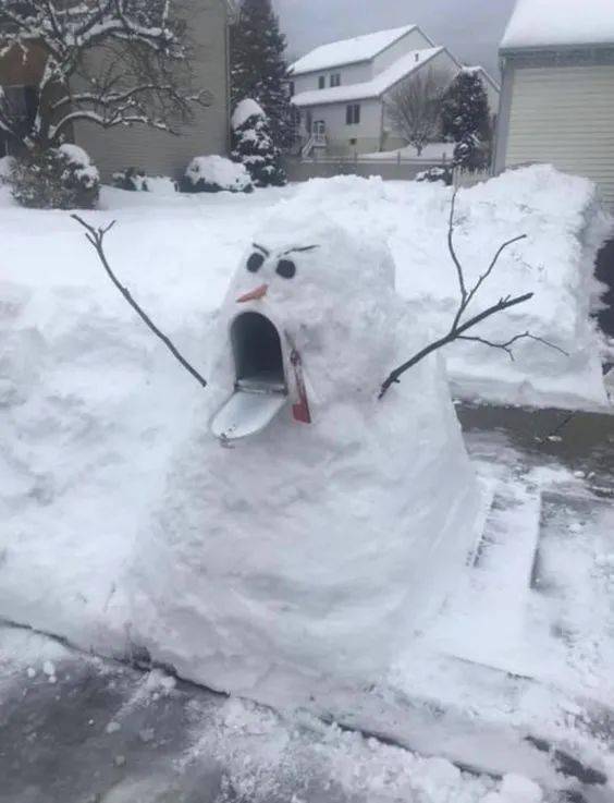 看完中美網友堆的雪人,這也太捲了吧!_南方_小雪_吃貨