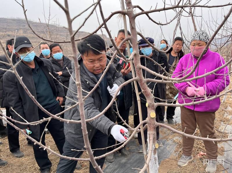 王选强自己都不知道编了多少苹果树栽培的顺口溜,听过他讲课的果农,都